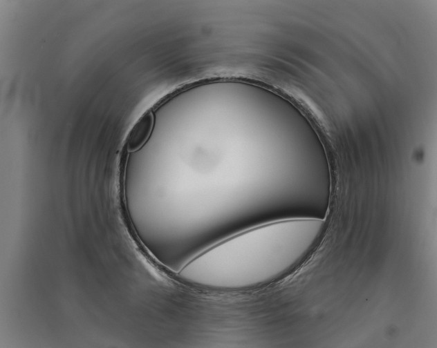 X0000091580894200708201011