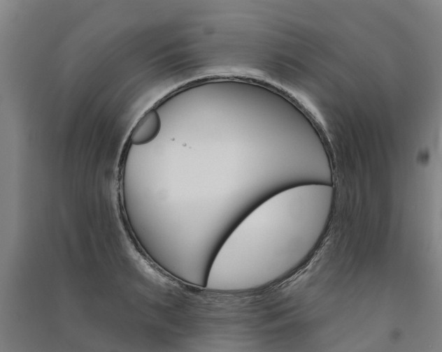 X0000091580895200708201011