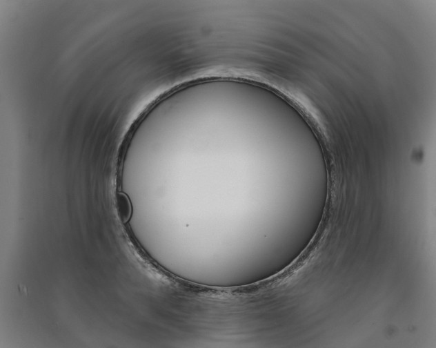 X0000091580896200708201011