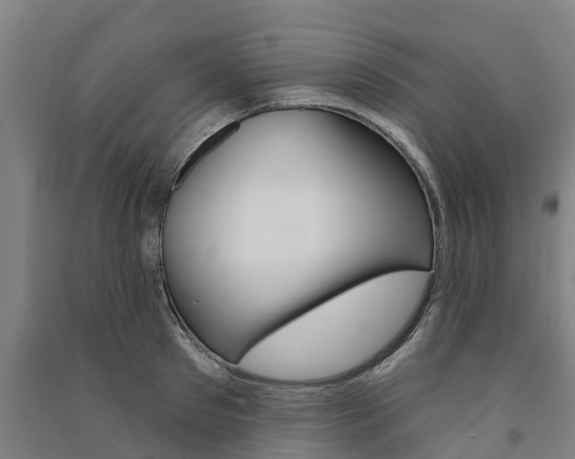 X0000091580897200708201011