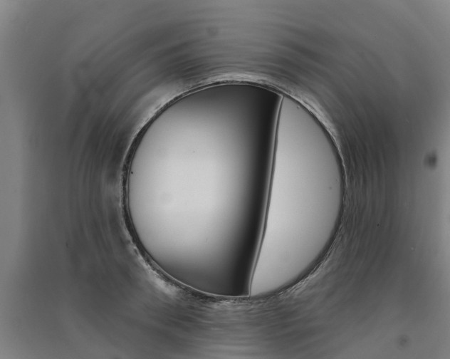 X0000091580898200708201011