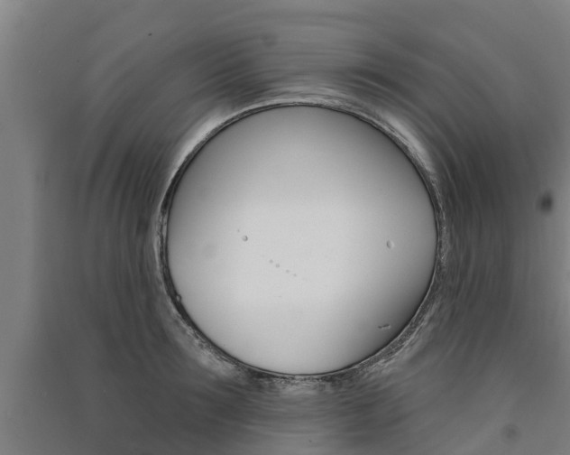 X0000091580899200708201011