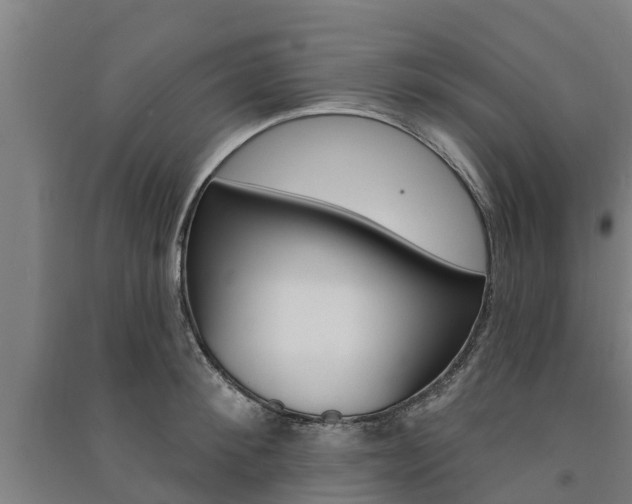 X0000091580900200708201011