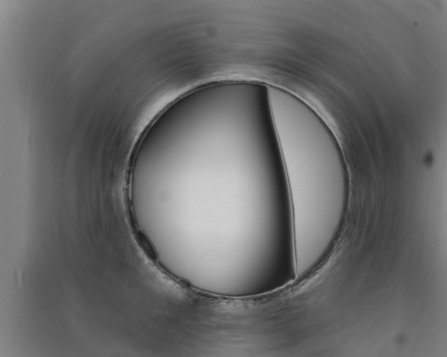 X0000091580901200708201011