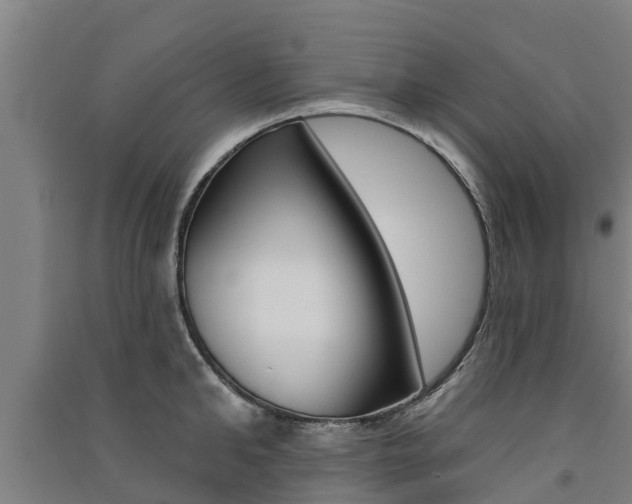 X0000091580902200708201011