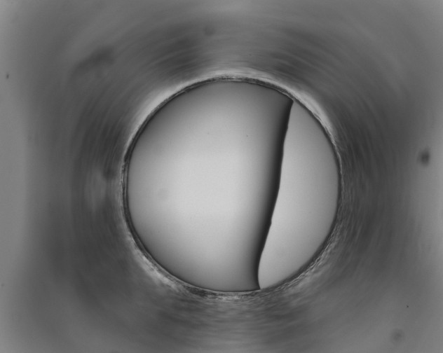 X0000091580903200708201011
