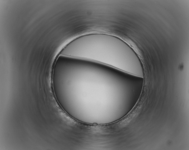 X0000091580904200708201011