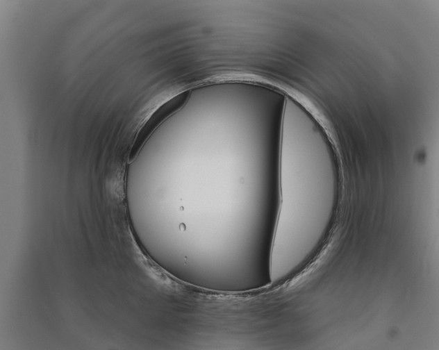 X0000091580905200708201011