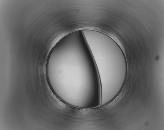 X0000091580906200708201011