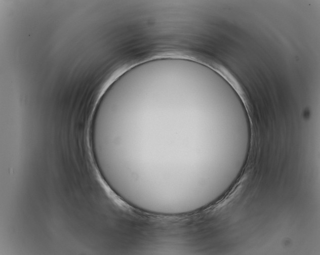 X0000091580909200708201011