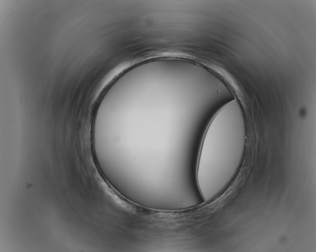 X0000091580910200708201011