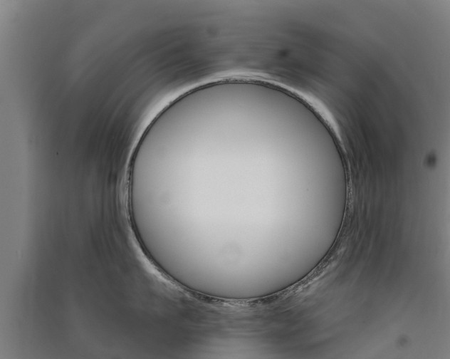 X0000091580911200708201011
