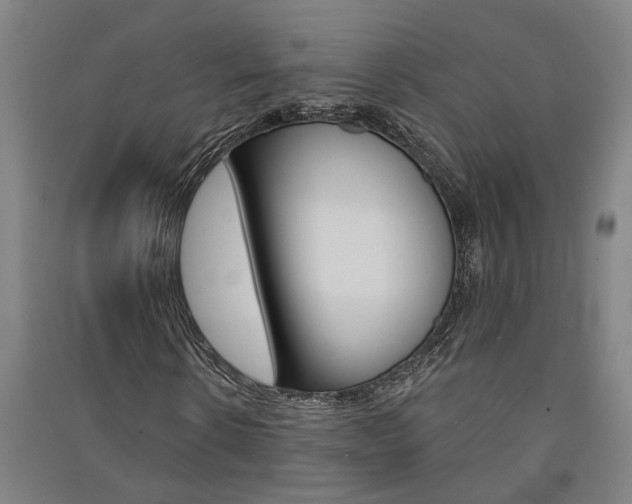 X0000091580914200708201010