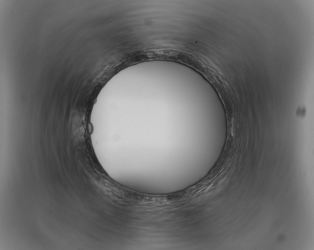 X0000091580915200708201010