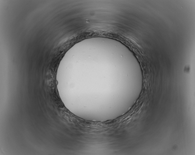 X0000091580917200708201010