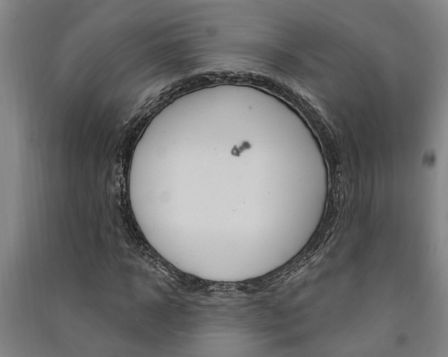 X0000091580918200708201010