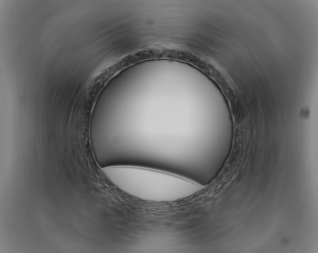 X0000091580919200708201010
