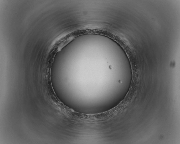 X0000091580920200708201010