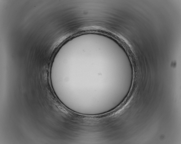 X0000091580921200708201010