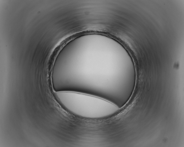 X0000091580923200708201010