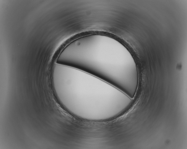 X0000091580926200708201010