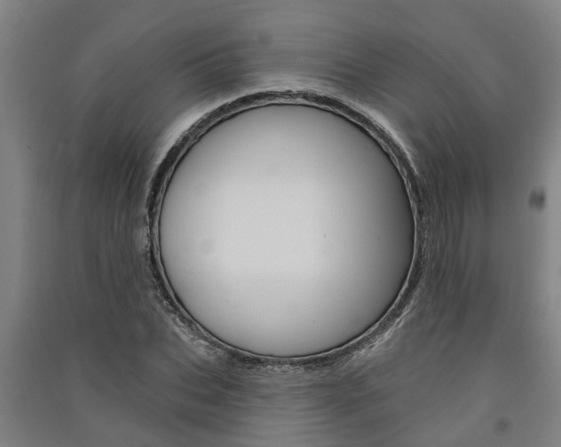 X0000091580927200708201010