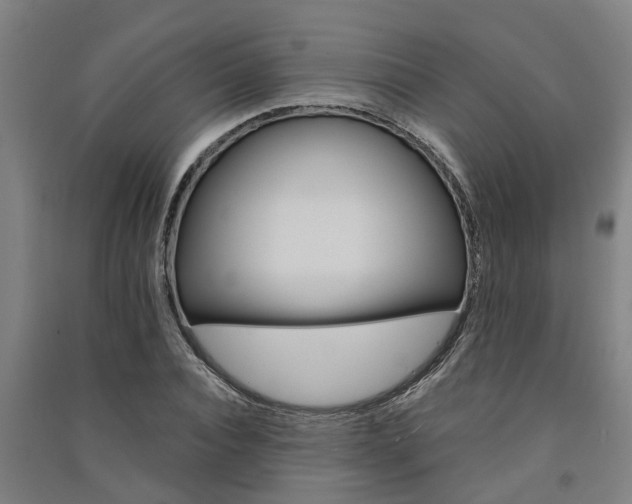 X0000091580928200708201010