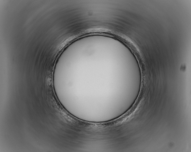 X0000091580929200708201010