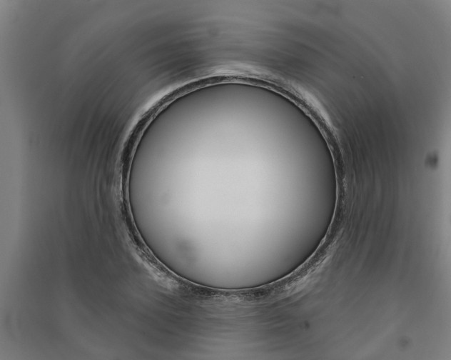 X0000091580931200708201010