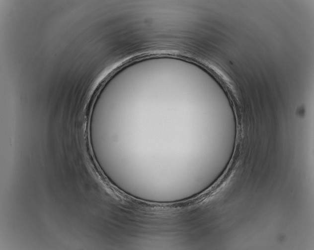 X0000091580933200708201010