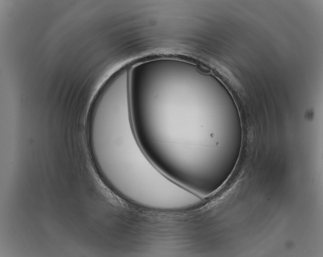 X0000091580934200708201010