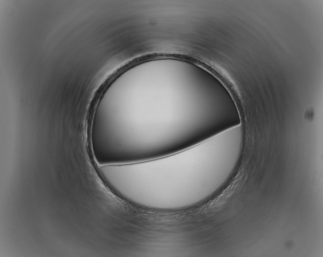 X0000091580935200708201010
