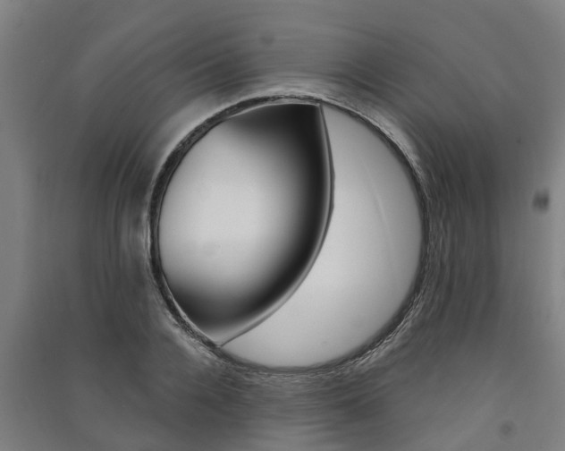 X0000091580936200708201010