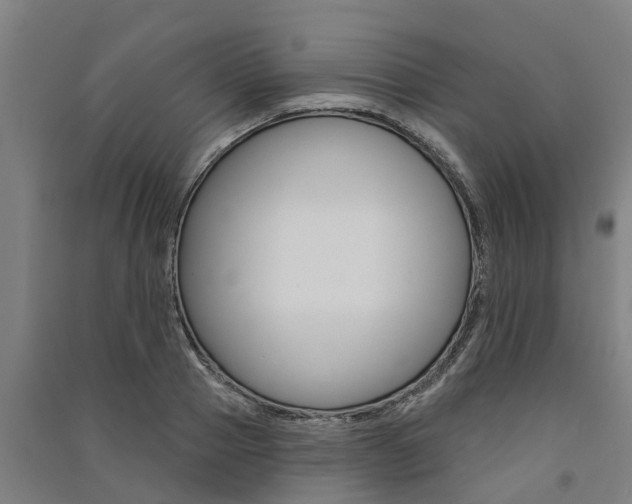 X0000091580937200708201010