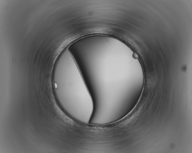 X0000091580938200708201010