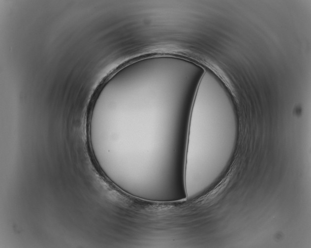 X0000091580939200708201010