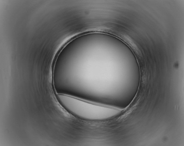 X0000091580940200708201010