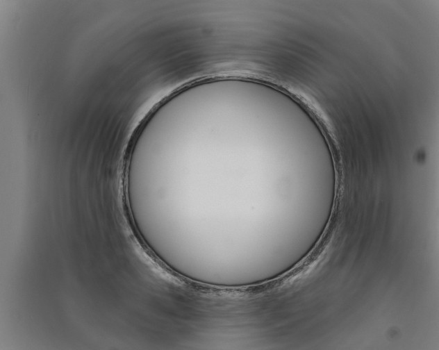 X0000091580941200708201010