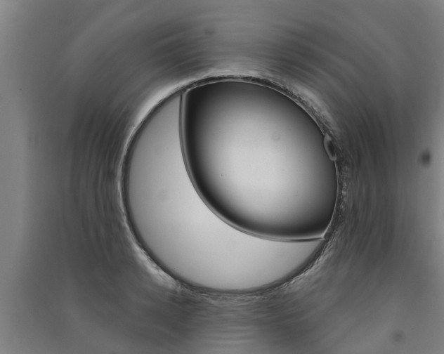 X0000091580942200708201010