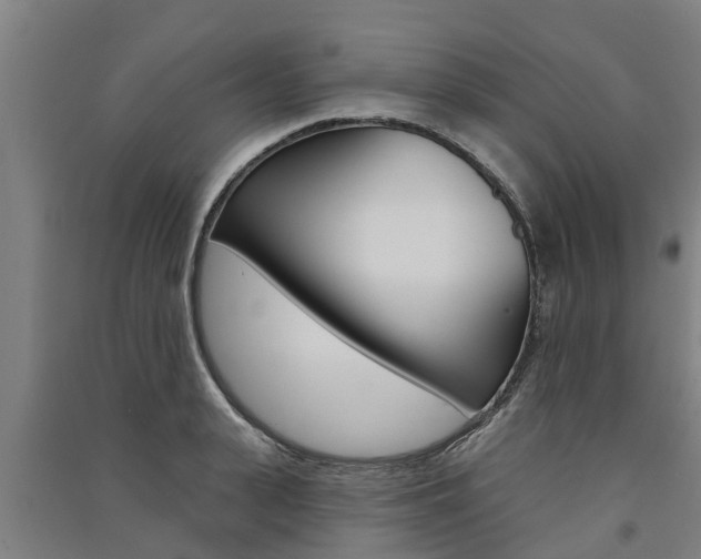 X0000091580943200708201010
