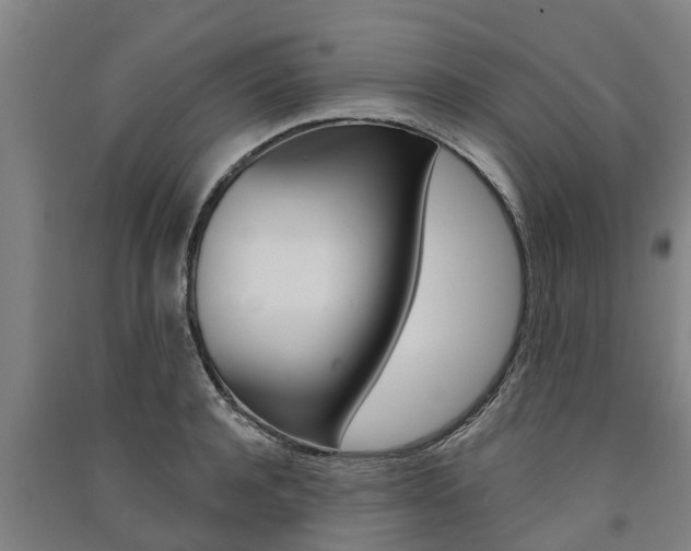 X0000091580944200708201010
