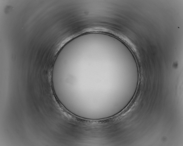 X0000091580945200708201010