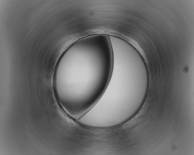 X0000091580946200708201010