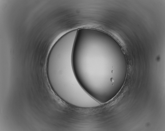 X0000091580948200708201010