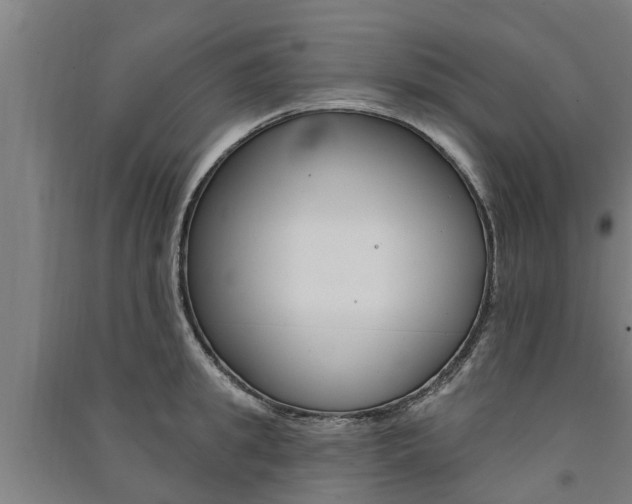 X0000091580949200708201010