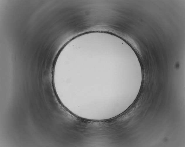 X0000091580950200708201010