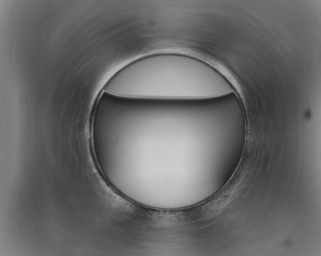 X0000091580951200708201011