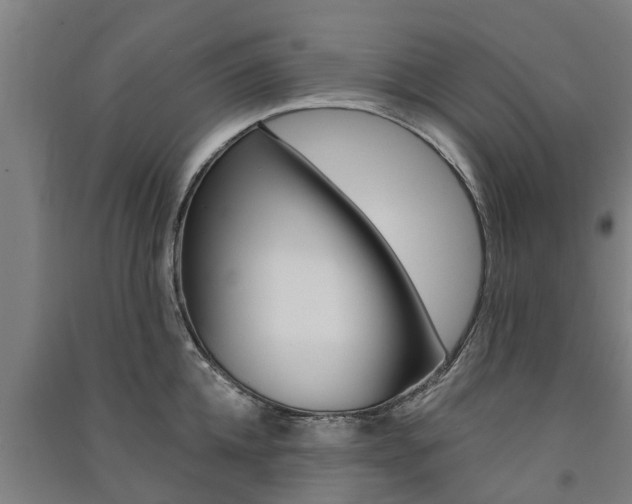 X0000091580952200708201011