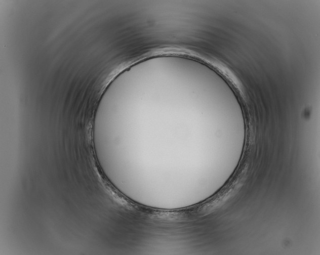 X0000091580953200708201011