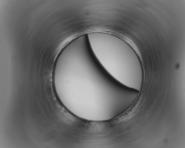 X0000091580954200708201011